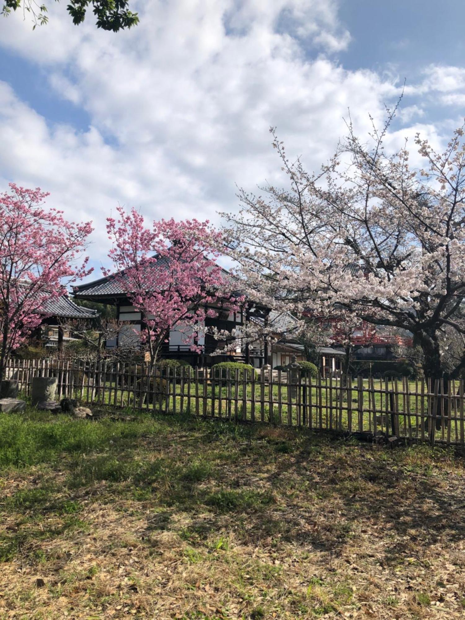京都 Tsubame-Ya酒店 外观 照片