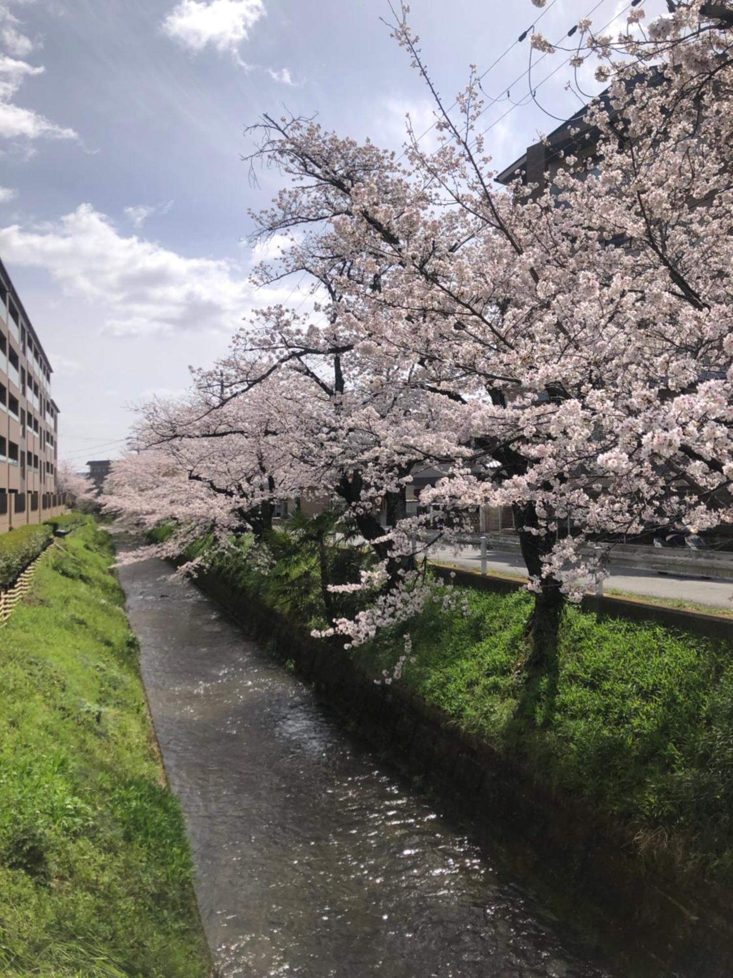 京都 Tsubame-Ya酒店 外观 照片